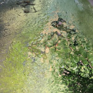 "Silence" 150/100 cm unik semiabstrakt tavla