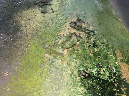 "Silence" 150/100 cm unik semiabstrakt tavla