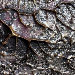 Semiabstrakt tavla "Glow me up" 50*70 cm