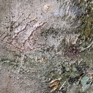 "Spring morning" fine art print