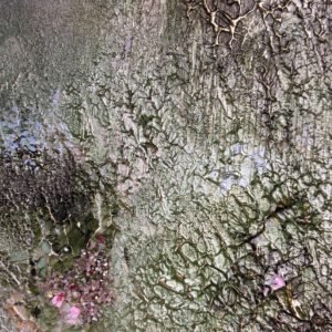 "Spring morning" fine art print